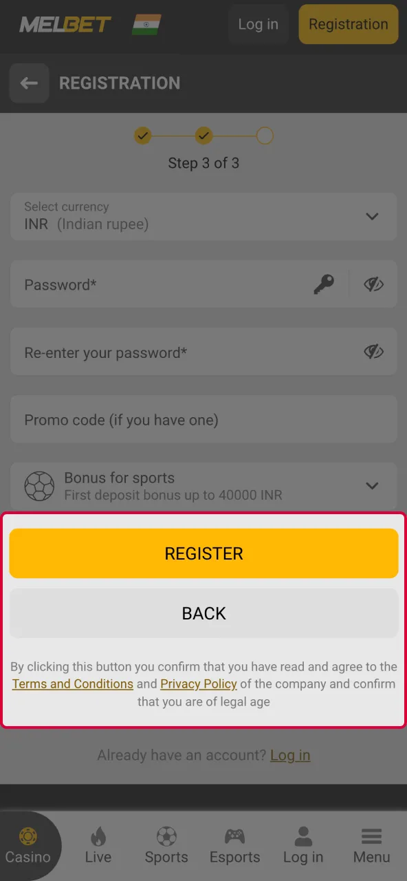Aviator registration completed after accepting terms.