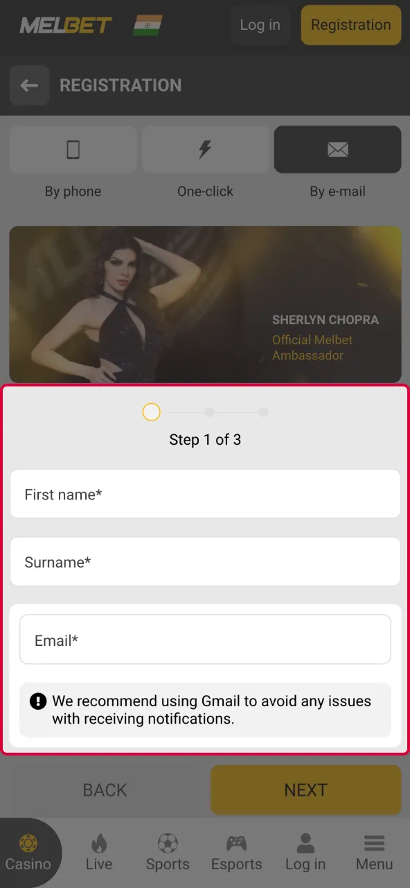 Enter data to complete Aviator profile.